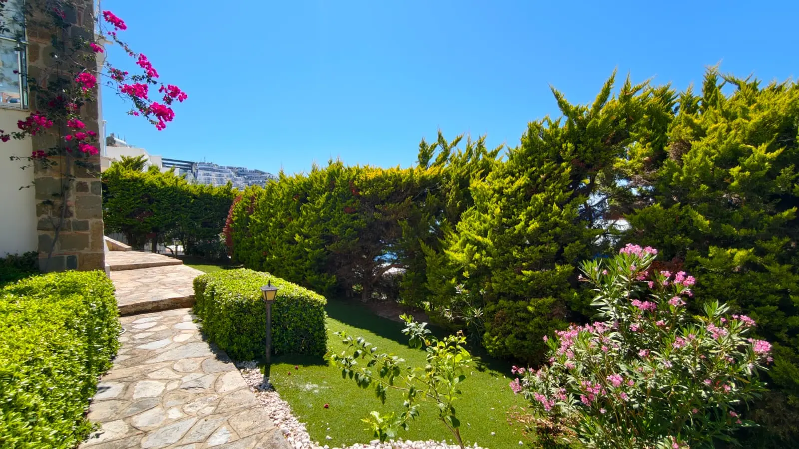 Mature garden